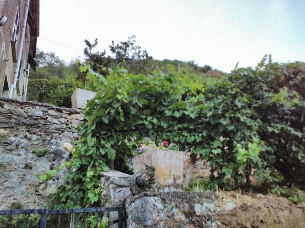 Casa Quaratica Apartman Riccò del Golfo di Spezia Kültér fotó